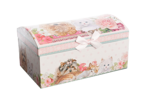 Szkatułka na biżuterię idealny prezent z pieskami i kotami