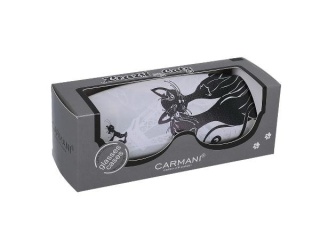 Duże etui na okulary Koci Świat