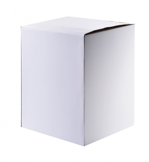 Kosz na śmieci z pedałem biały 3 litry marki Mondex ZAC