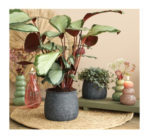 Osłonka doniczka ceramiczna Duke na kwiaty grafitowa matowa