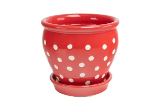 Ceramiczna doniczka na kwiaty czerwona w białe kropki 12 cm
