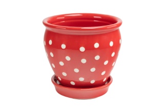 Ceramiczna doniczka na kwiaty czerwona w białe kropki połysk