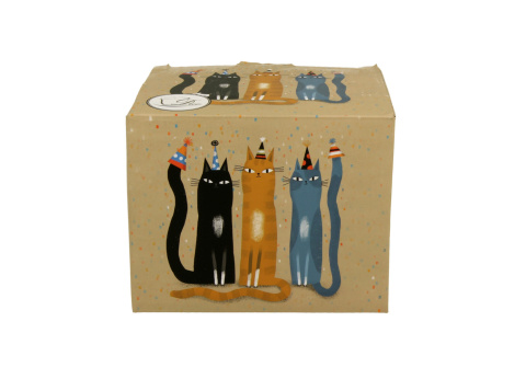 Duży kubek kubas koci świat party na urodziny do herbaty