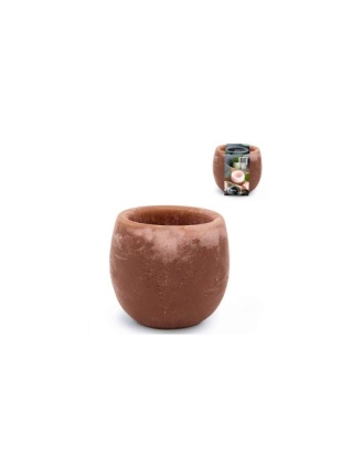 Aromatyczna osłonka miseczka kula na kwiaty amber na led