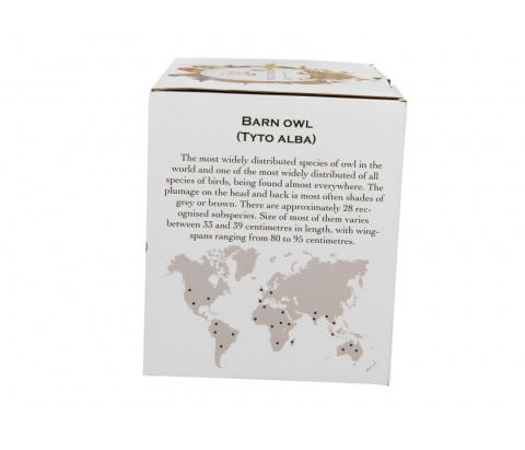 Duży kubek do kawy na prezent sowy zwyczajne ptasi świat