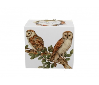 Duży kubek do kawy na prezent sowy zwyczajne ptasi świat