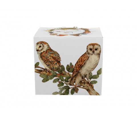 Duży kubek do kawy na prezent sowy zwyczajne ptasi świat