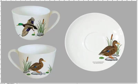 Zestaw filiżanka do kawy w pudełku kaczka Hajdecka ptaki
