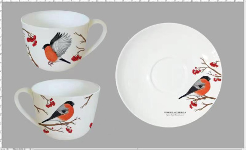 Komplet filiżanka do herbaty kawy w pudełku gil Hajdecka