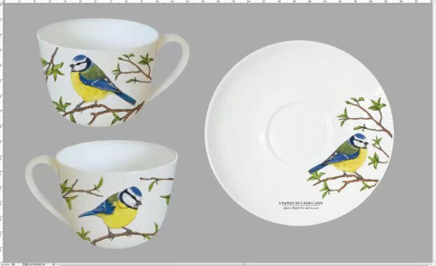 Zestaw filiżanka do kawy w pudełku sikorka modraszka ptaki polskie