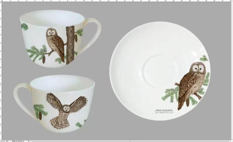 Zestaw filiżanka do kawy w pudełku puszczyk ptaki polskie