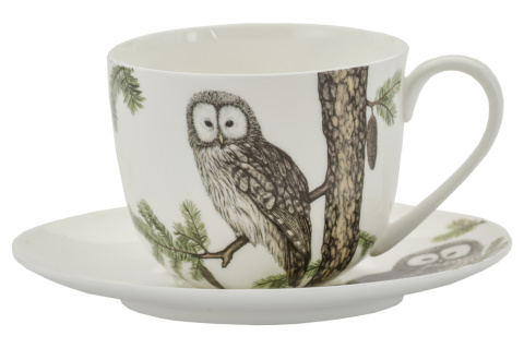 Zestaw filiżanka do kawy w pudełku puszczyk ptaki polskie