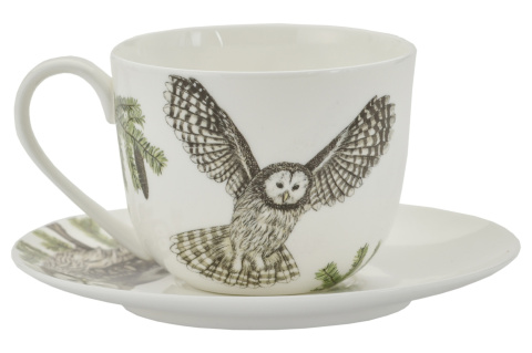 Zestaw filiżanka do kawy w pudełku puszczyk ptaki polskie