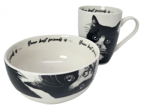 Zestaw kubek z miseczką Queen Isabell kot europejski