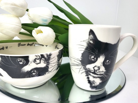 Zestaw kubek z miseczką Queen Isabell kot europejski