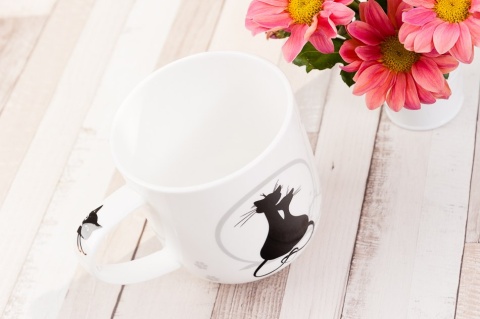 CARMANI KUBEK KOTY CRAZY CATS NA PREZENT W PUDEŁKU