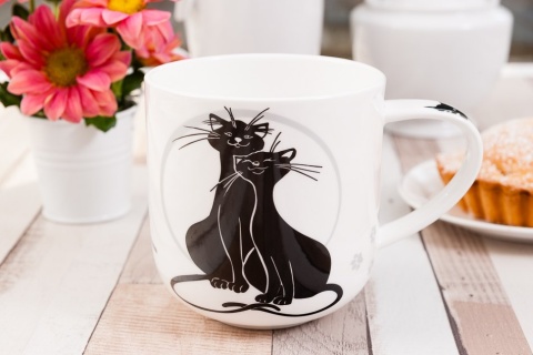 CARMANI KUBEK KOTY CRAZY CATS NA PREZENT W PUDEŁKU