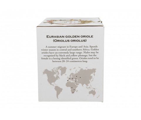 Zestaw kubek zaparzacz dla chłopaka wilgi ptasi świat