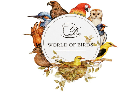 Kubek dudki ptasi świat kubas na prezent dla chłopaka ptaki