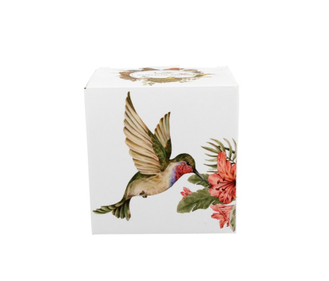 Kubek sitko filtr zestaw dla mężczyzny koliber ptasi świat