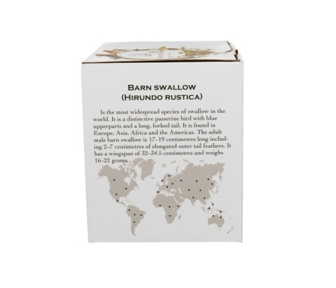 Kubek zaparzacz zestaw dla mężczyzny jaskółki ptasi świat