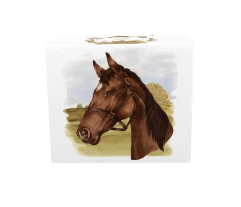 Kubek kubas dla mężczyzny portret konia xxl świat zwierząt