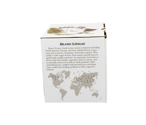 Kubek niedźwiedzie sitko filtr świat zwierząt dla chłopaka