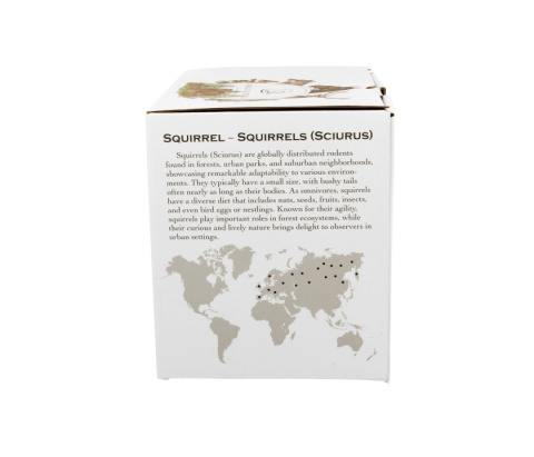 Kubek wiewiórka świat zwierząt na prezent porcelana duo