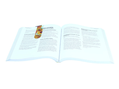 Zakładka do książki magnetyczna Gogh Carmani słoneczniki