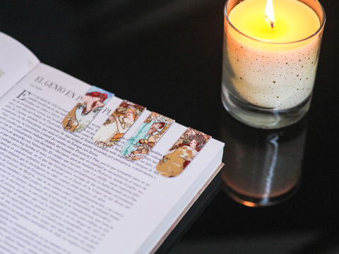 Zakładka do książki magnetyczna zestaw 4 szt Carmani Mucha