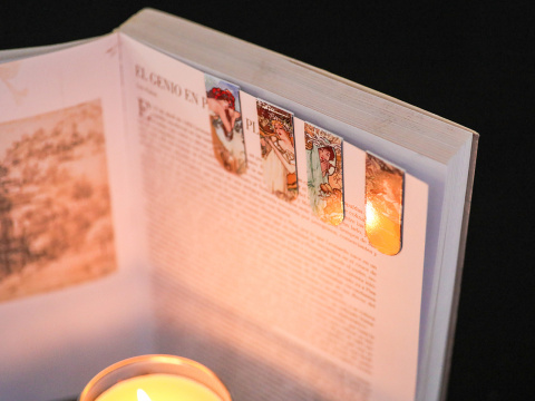 Zakładka do książki magnetyczna zestaw 4 szt Carmani Mucha