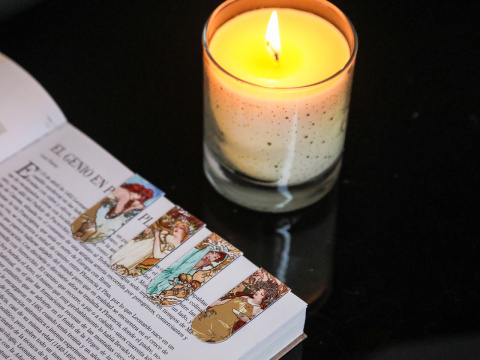 Zakładka do książki magnetyczna zestaw 4 szt Carmani Mucha