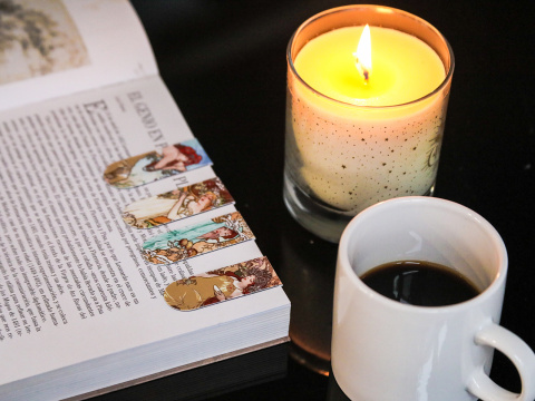 Zakładka do książki magnetyczna zestaw 4 szt Carmani Mucha