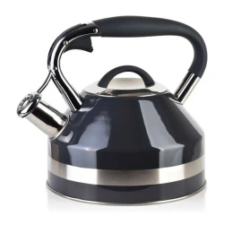 Czajnik do gotowania wody indukcja stalowy 2l szary Georg