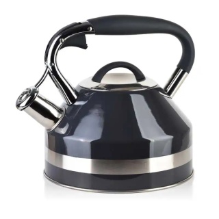 Czajnik do gotowania wody indukcja stalowy 2l szary Georg