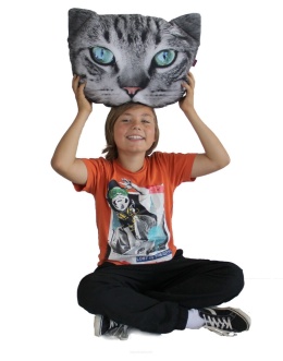 Poduszka dekoracyjna z wypełnieniem Fryc kot szary 45x30cm