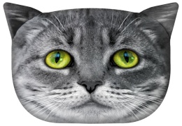 Poduszka ozdobna z wypełnieniem Lolek kot szary 45x30cm