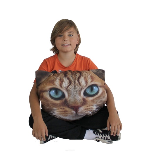 Poduszka dekoracyjna z wypełnieniem Benek kot 45x30cm