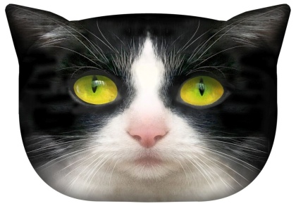 Poduszka dekoracyjna z wypełnieniem Panda kot 45x30cm jasiek