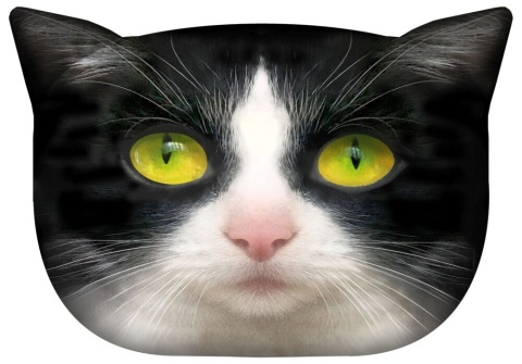 Poduszka dekoracyjna z wypełnieniem Panda kot 45x30cm jasiek