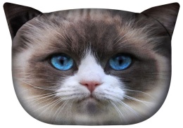 Poduszka z wypełnieniem ozdobna Daisy kot 45x30cm jasiek