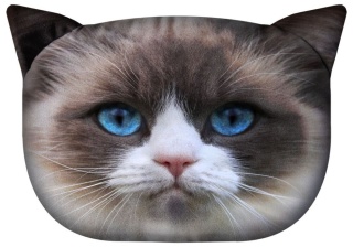 Poduszka z wypełnieniem ozdobna Daisy kot 45x30cm jasiek