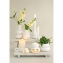 Osłonka na kwiaty doniczka Chubby biała matowa ozdobna