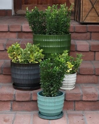 Doniczka ogrodowa z podstawką donica ceramiczna beżowa