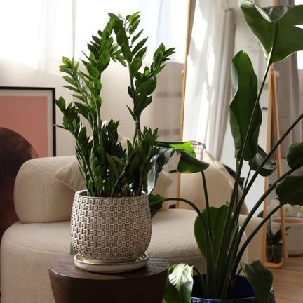 Donica ogrodowa z podstawką duża doniczka ceramiczna beż