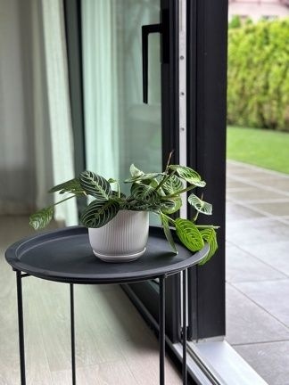 Doniczka z podstawką donica ceramiczna ozdobna biała mat