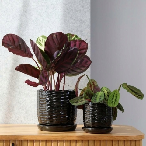 Doniczka czarna z podstawką donica ceramiczna ogrodowa