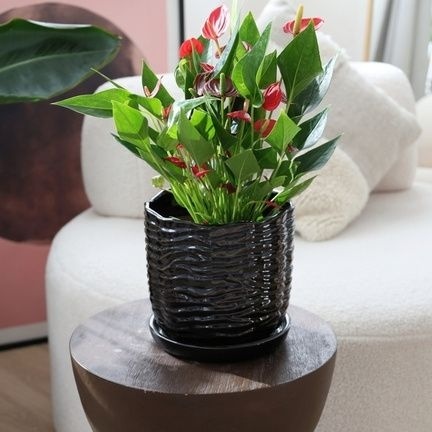 Doniczka z podstawką czarna donica ceramiczna ogrodowa