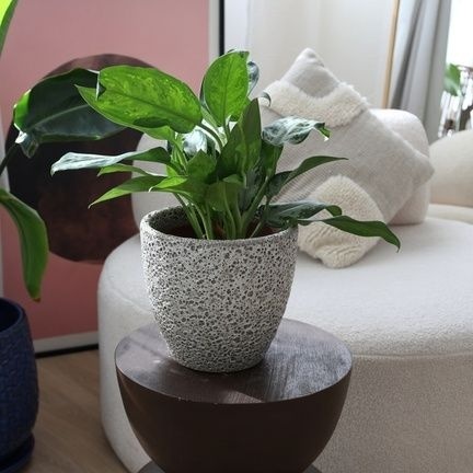 Donica z podstawką doniczka ceramiczna ogrodowa mrozoodporna