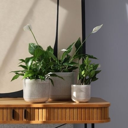 Osłonka beżowa ceramiczna doniczka przecierana na kwiaty